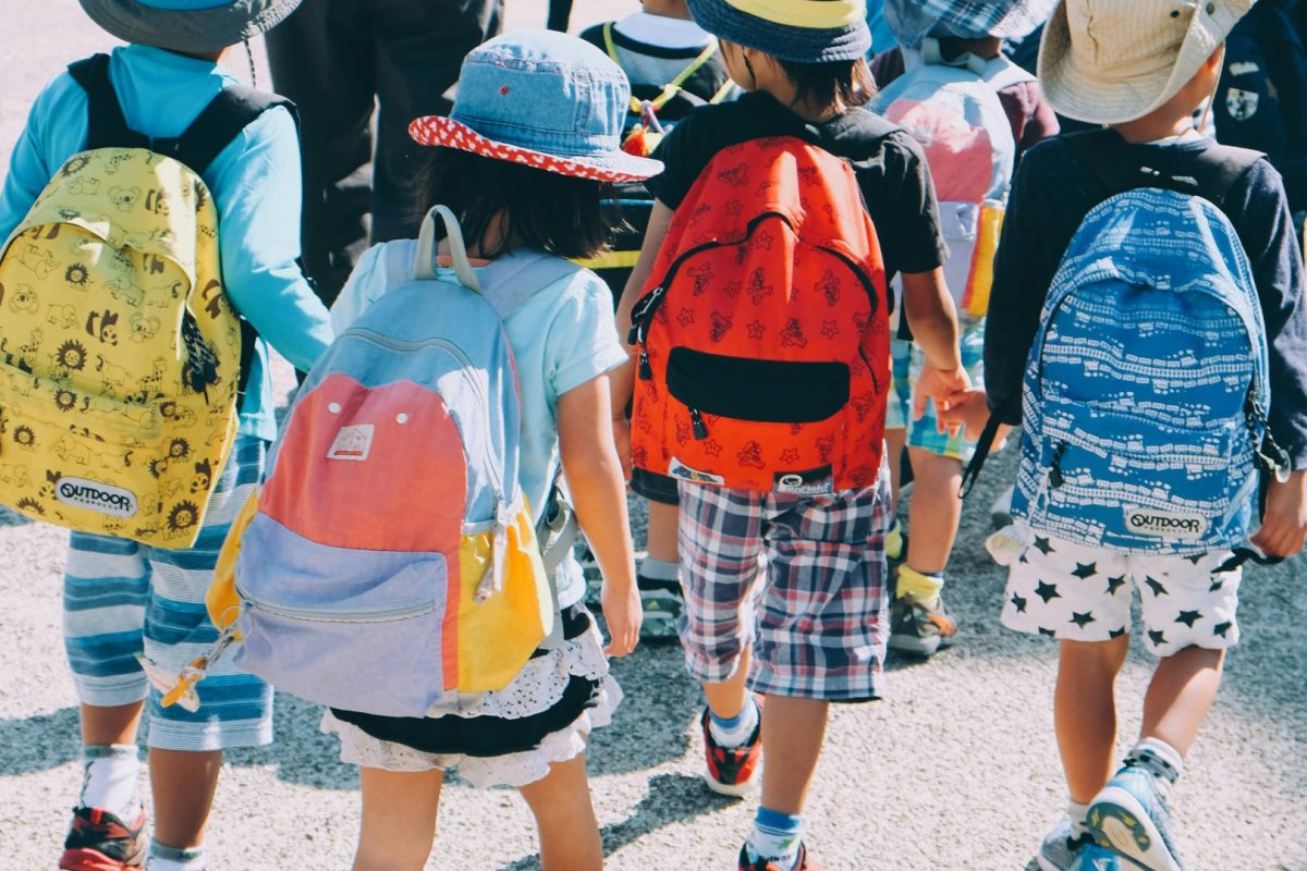 Excursion scolaire : quelques idées d'activités pour vos élèves